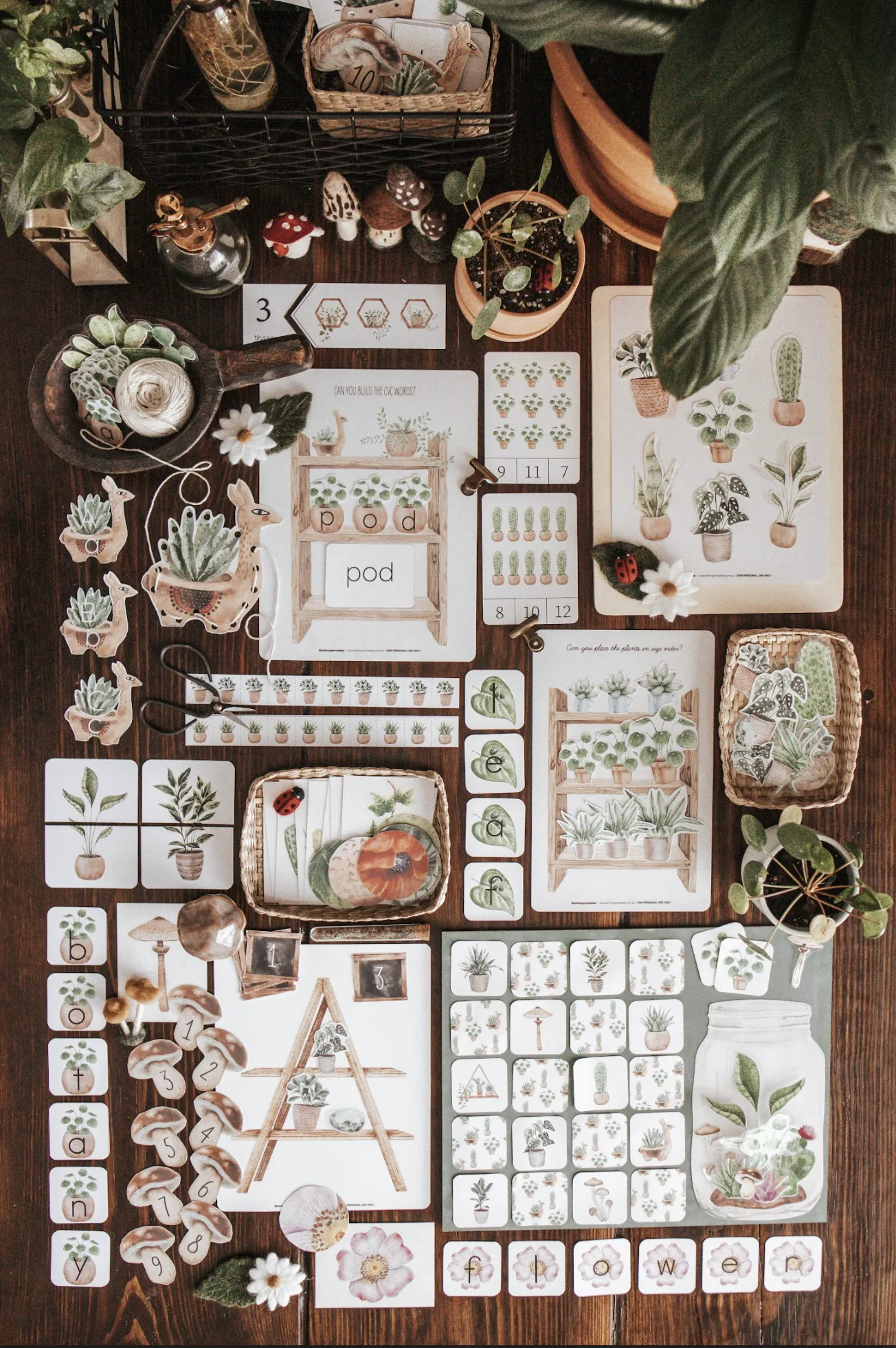 Botany Morning Basket