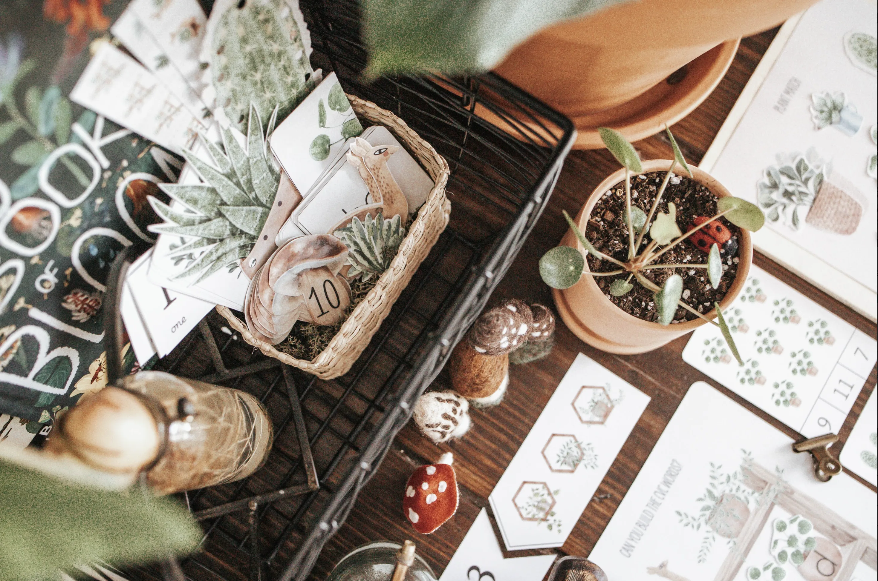 Botany Morning Basket