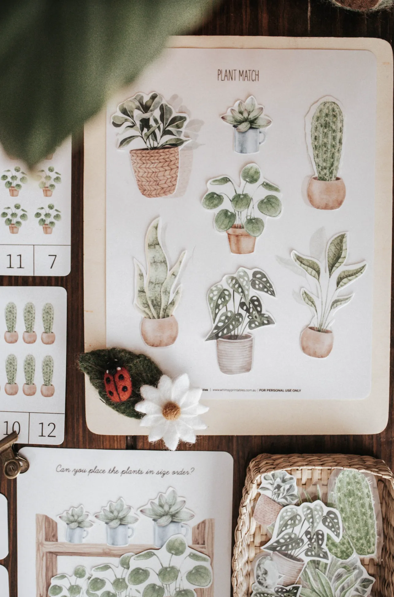 Botany Morning Basket