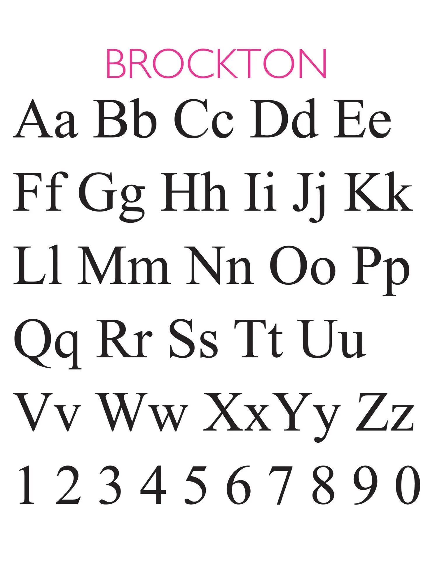 Brockton Necklace (WS)