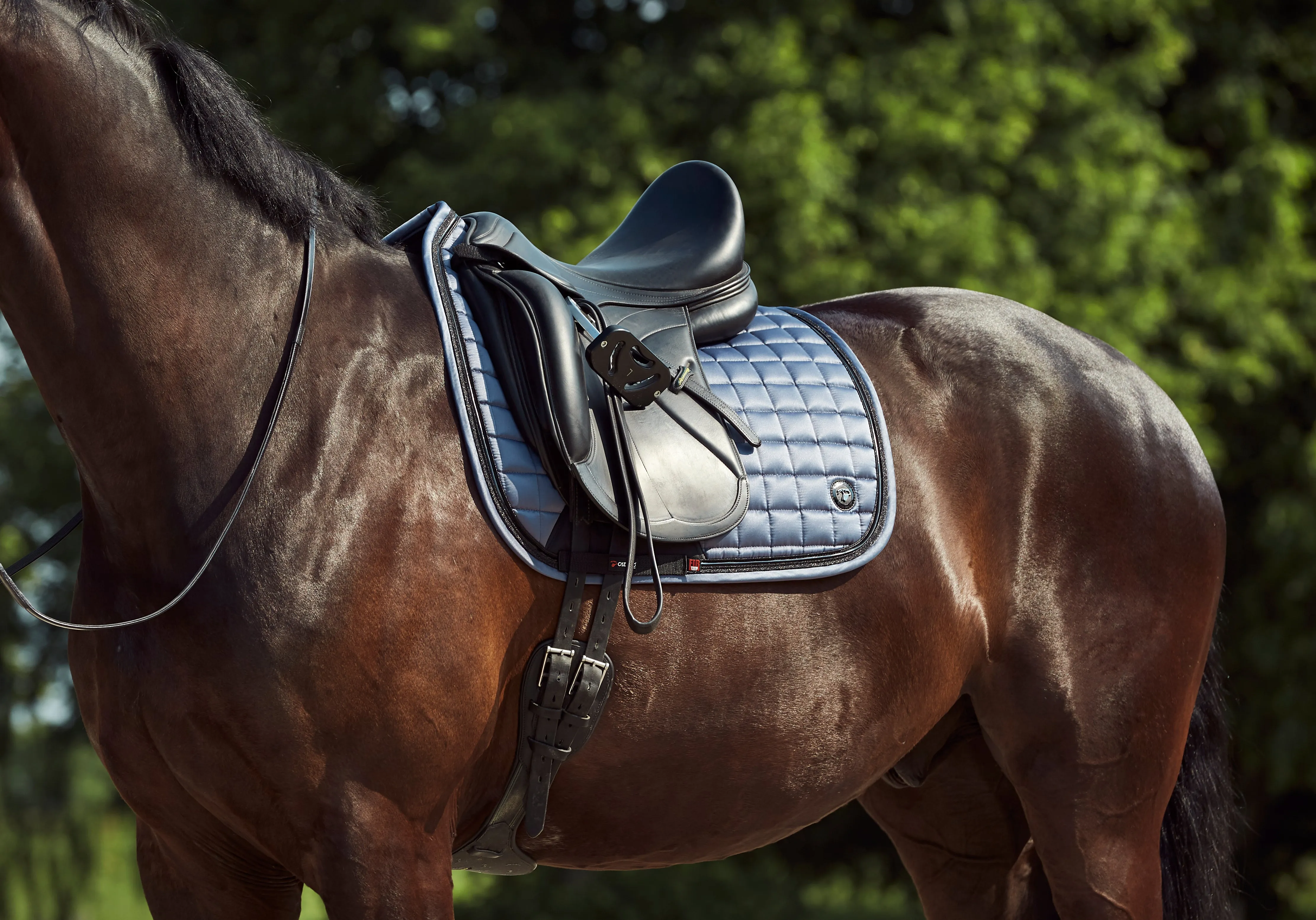 Catago FIR tech Elegant Folkstone grey COB SIZE dressage pad