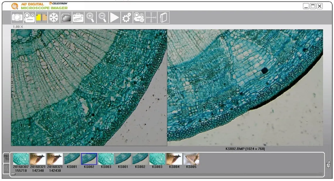Celestron Digital Microscope Imager HD 5MP      - 44422