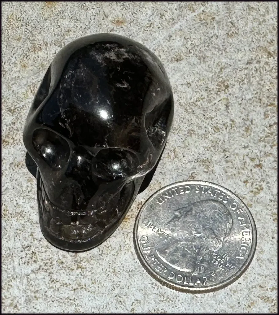 DARK Smoky Quartz Crystal Skull - Dissolve negativity