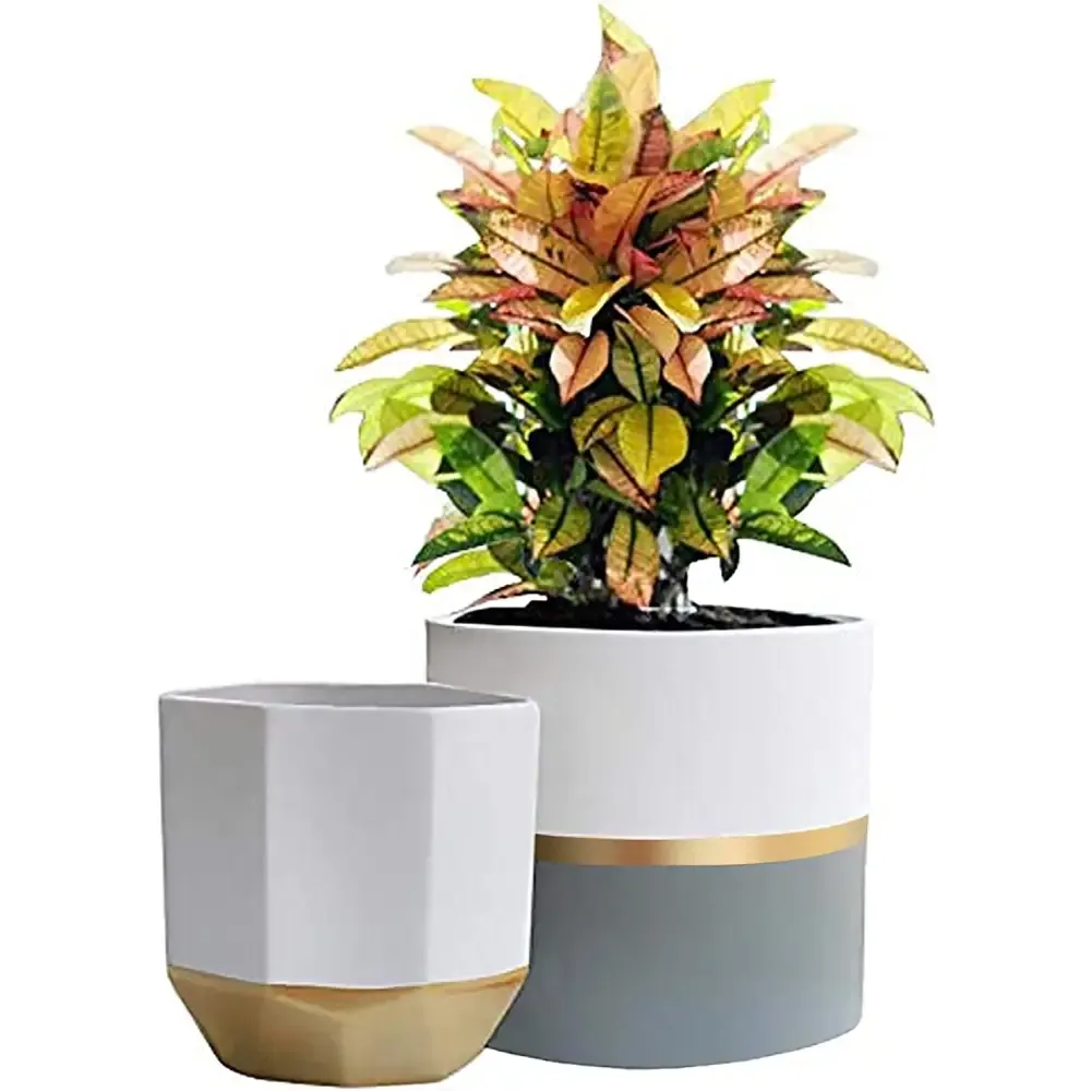Elegant White Ceramic Planters with Rose Gold Accents