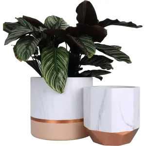 Elegant White Ceramic Planters with Rose Gold Accents