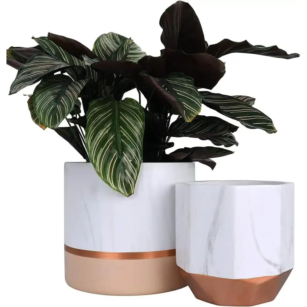Elegant White Ceramic Planters with Rose Gold Accents