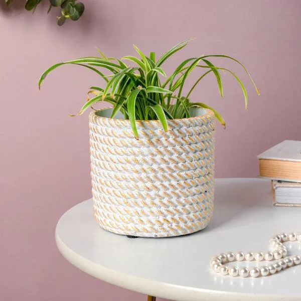Golden Rope Pattern Plant Pot