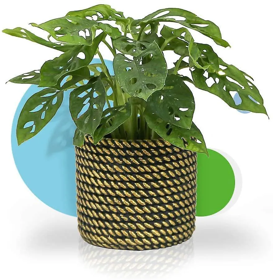 Golden Rope Pattern Plant Pot
