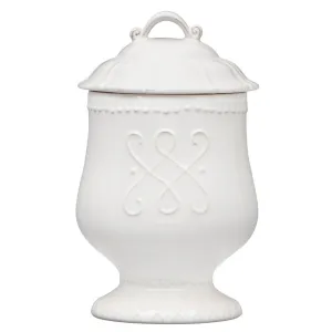 Historia Canister Large Paperwhite