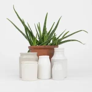 homeware 12