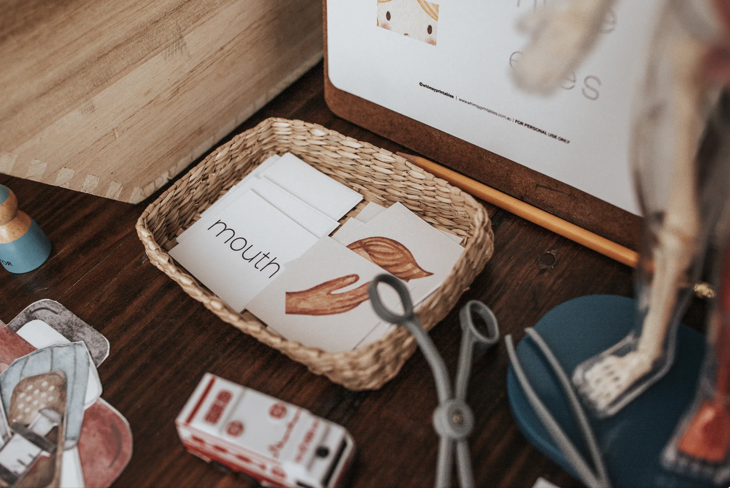 Human Body Morning Basket