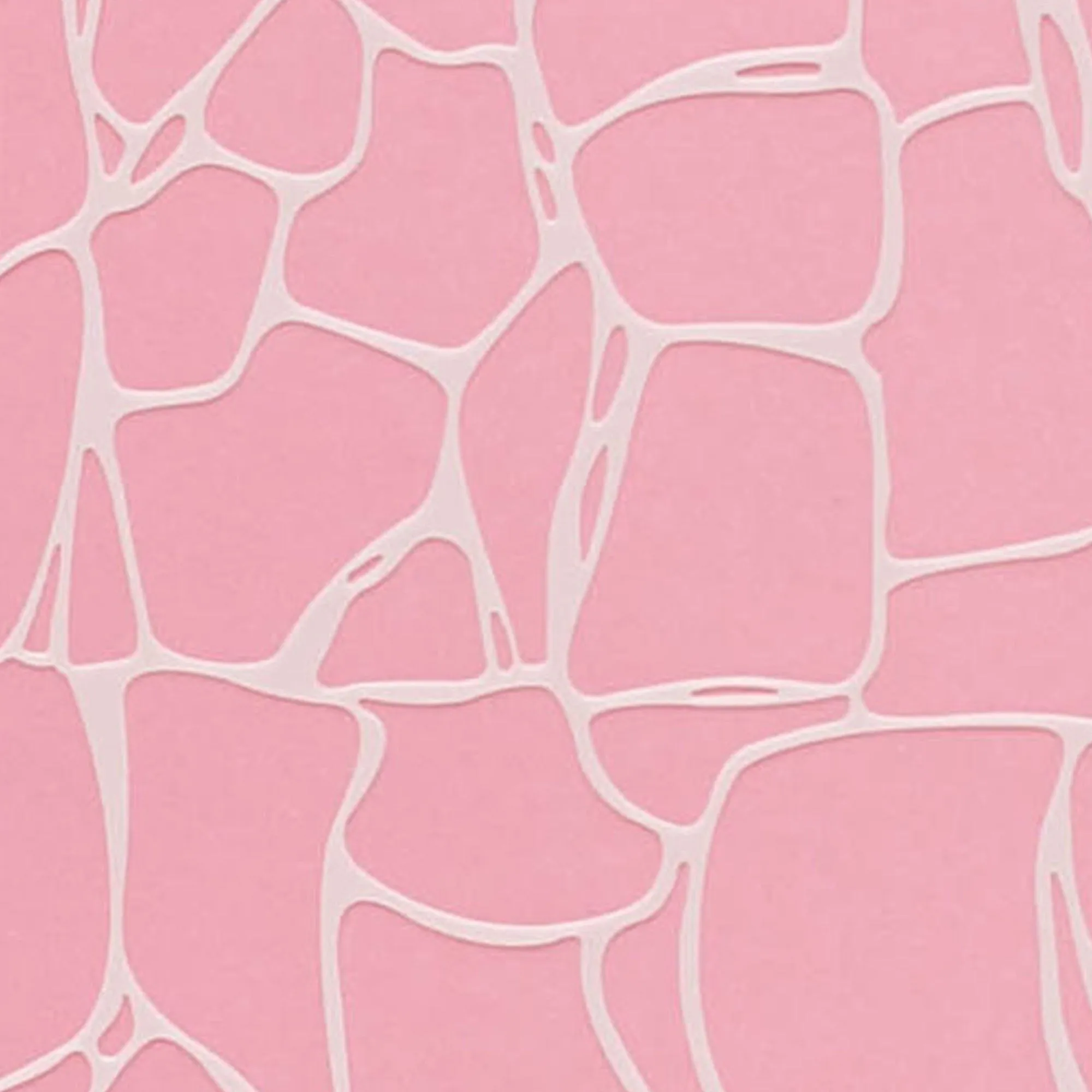 Lacupella Cake Stencil VISCO