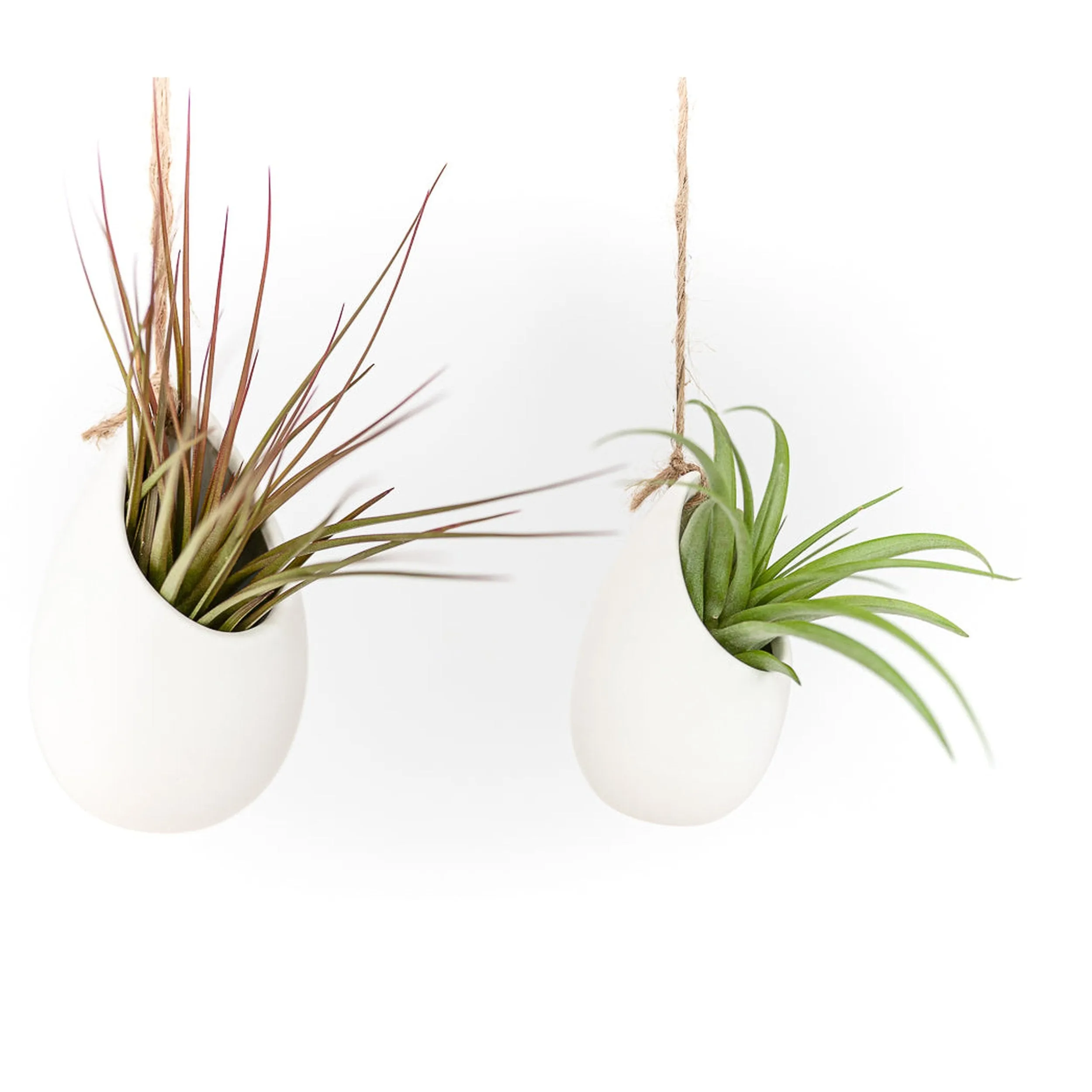 Large Ivory Ceramic Hanging Planter With Flat Bottom