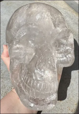 LifeSize SMOKY HImalayan Quartz Crystal Skull with Hematite, Chlorite, Rainbows - 13lbs 