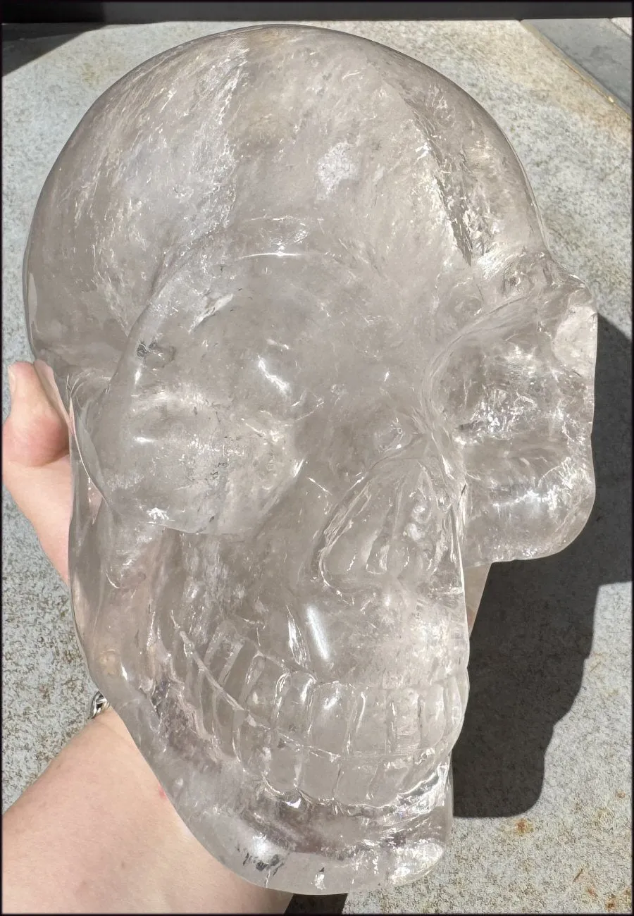 LifeSize SMOKY HImalayan Quartz Crystal Skull with Hematite, Chlorite, Rainbows - 13lbs 