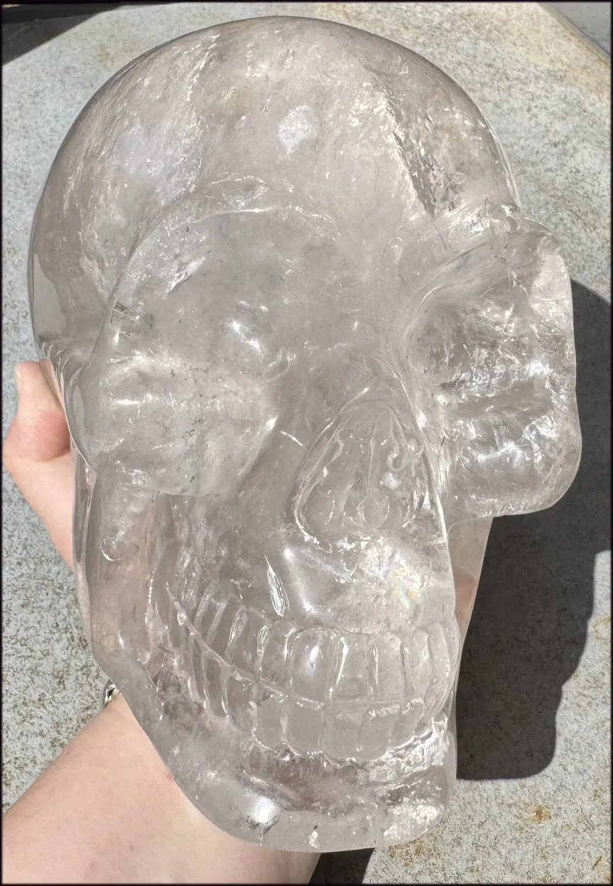 LifeSize SMOKY HImalayan Quartz Crystal Skull with Hematite, Chlorite, Rainbows - 13lbs 
