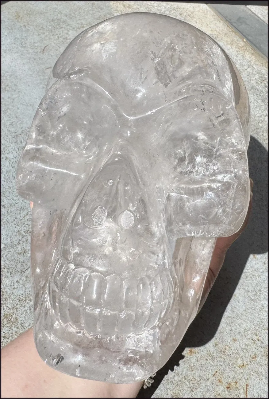 LifeSize SMOKY HImalayan Quartz Crystal Skull with Hematite, Chlorite, Rainbows - 13lbs 