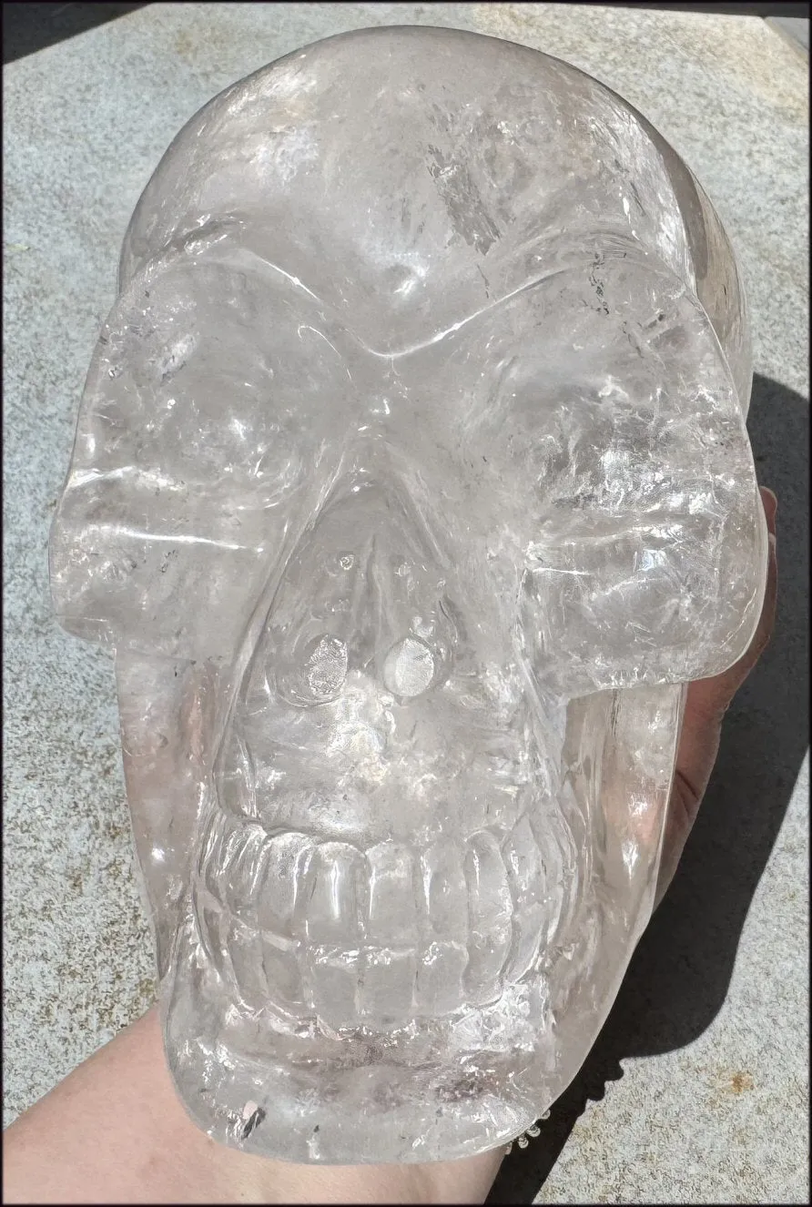 LifeSize SMOKY HImalayan Quartz Crystal Skull with Hematite, Chlorite, Rainbows - 13lbs 