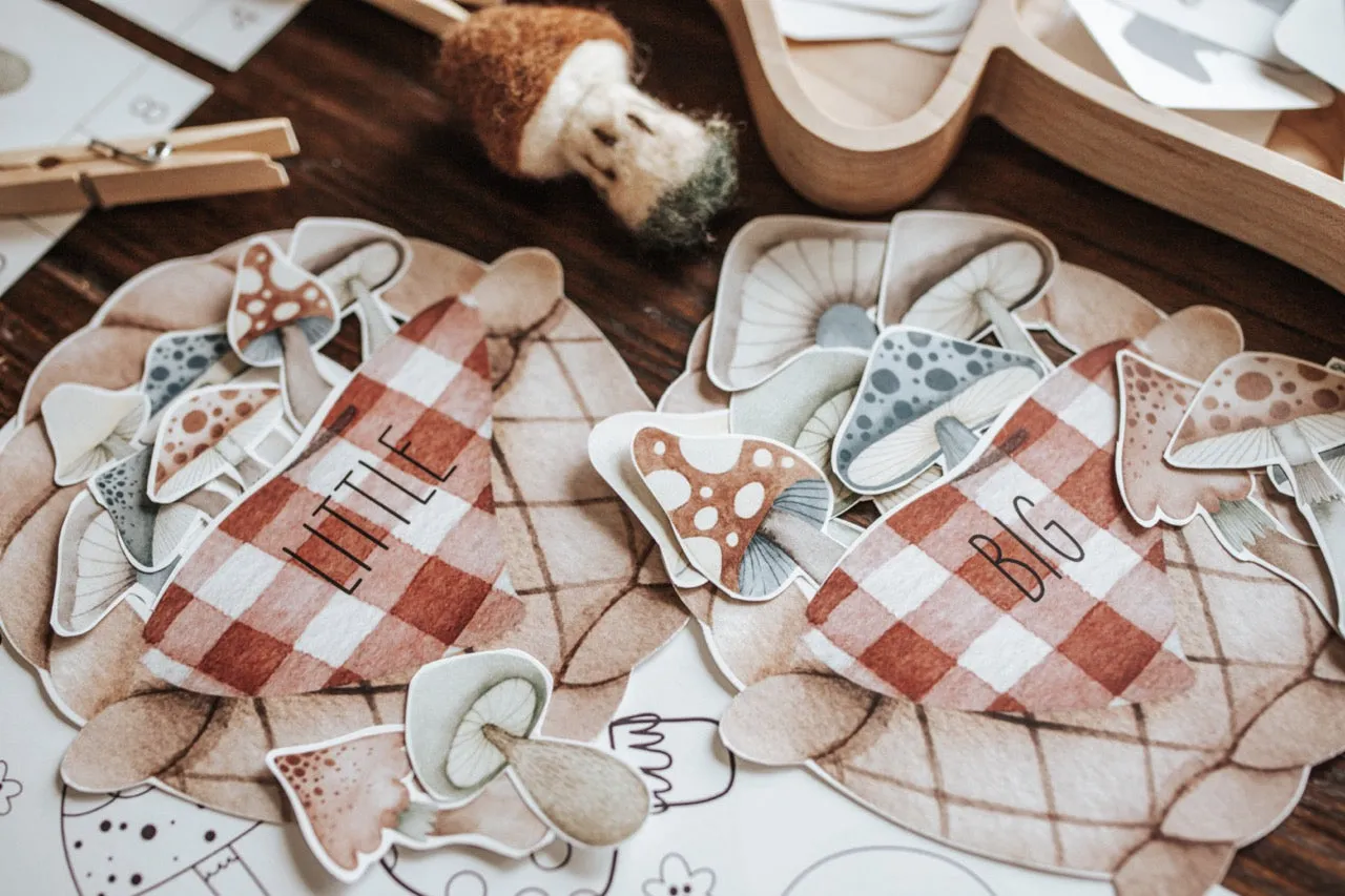 Mycology & Herbology Morning Basket