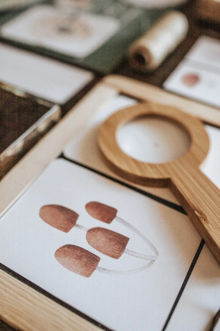 Nature Science Morning Basket