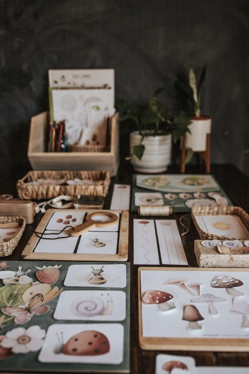 Nature Science Morning Basket