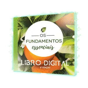 Os Fundamentos Essenciais 6ª Edição Português [Livro Digital]