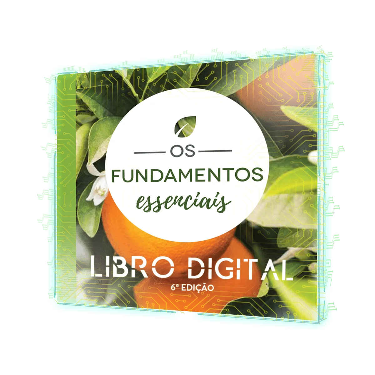 Os Fundamentos Essenciais 6ª Edição Português [Livro Digital]
