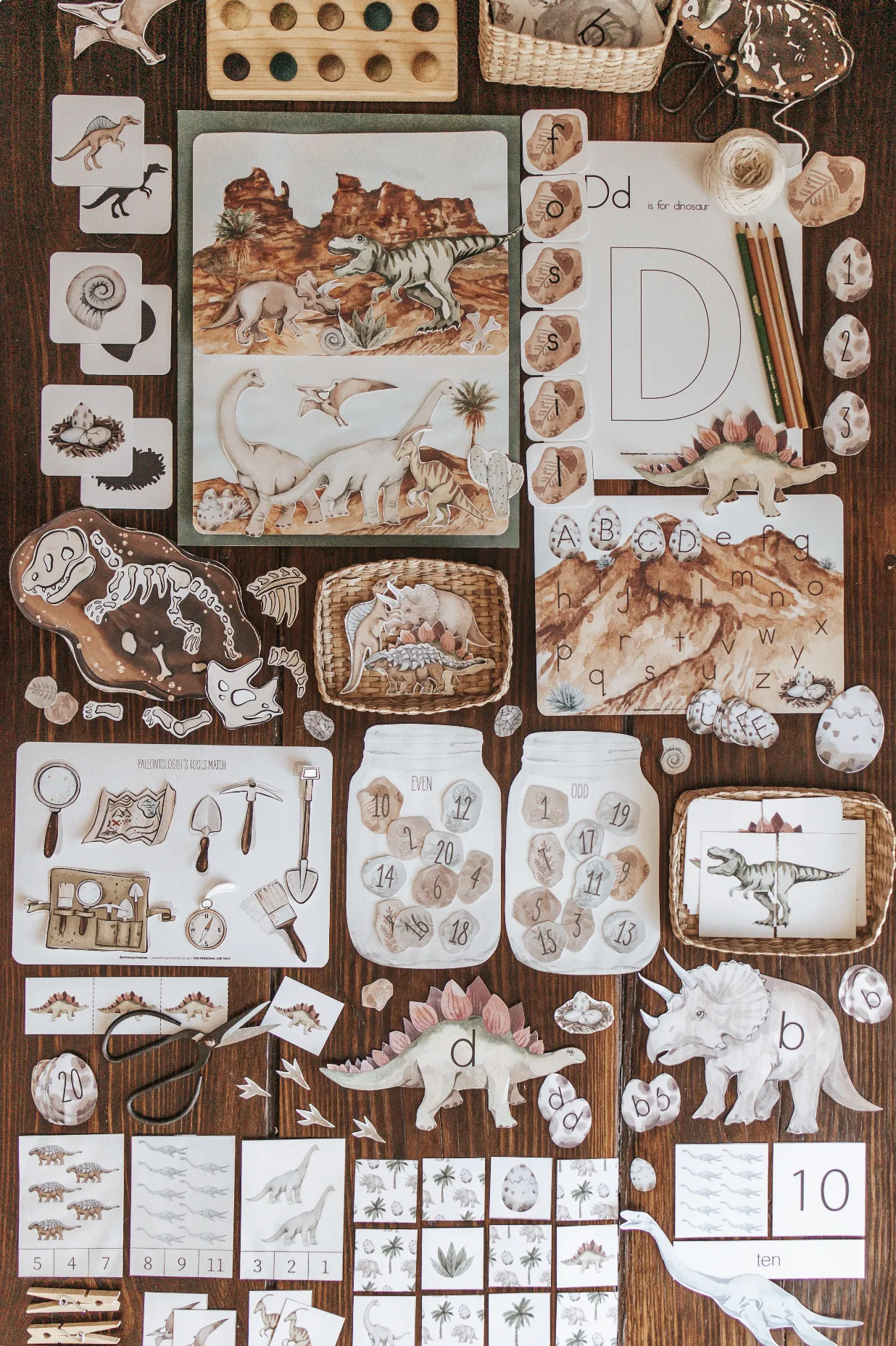 Paleontology Morning Basket