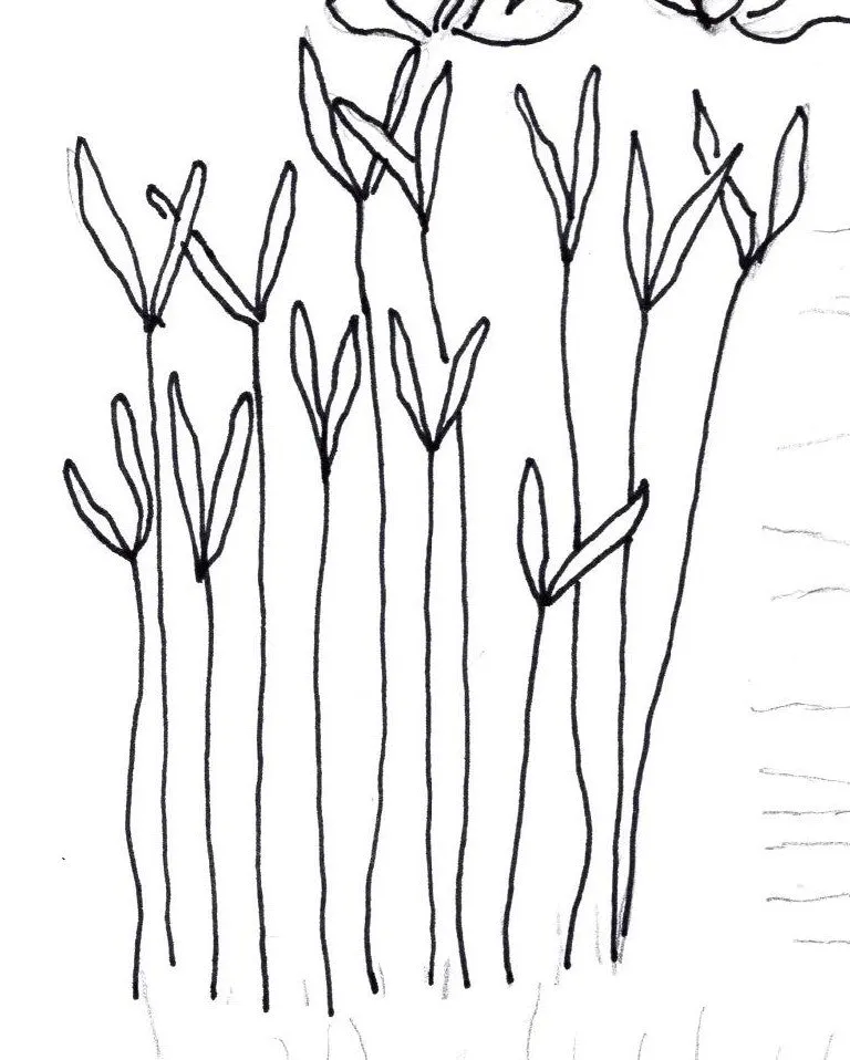 Spring Sprouts digitized embroidery
