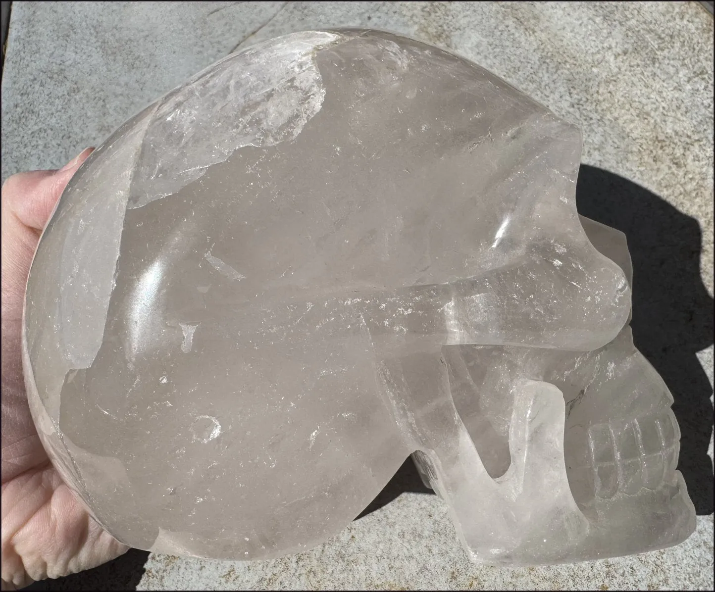 ~Super Sale!~ LifeSize Himalayan Quartz CRYSTAL SKULL with Portal Formation, Vugs, Organic matrix