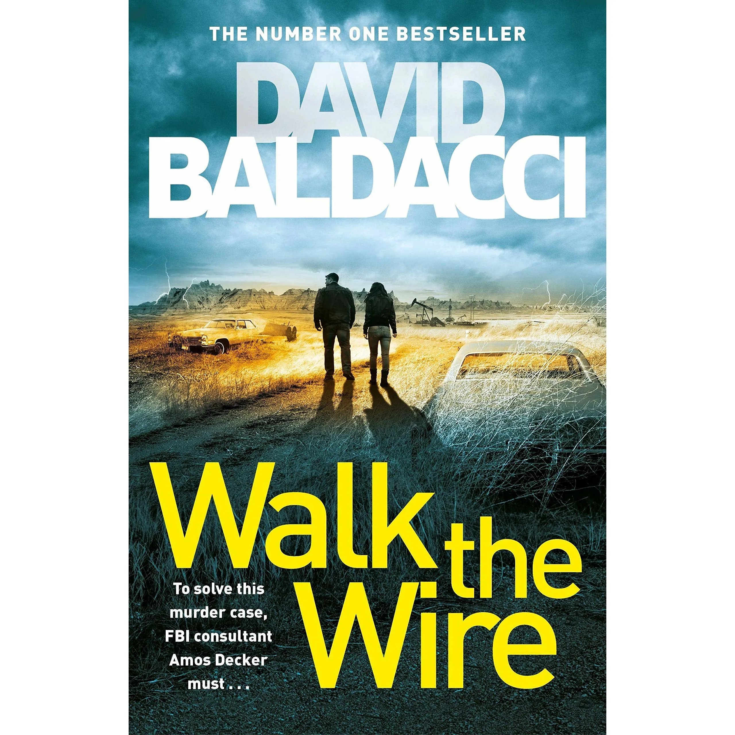 The Maid, Truth Be Told, Walk the Wire, The Color Purple  4 Books Set